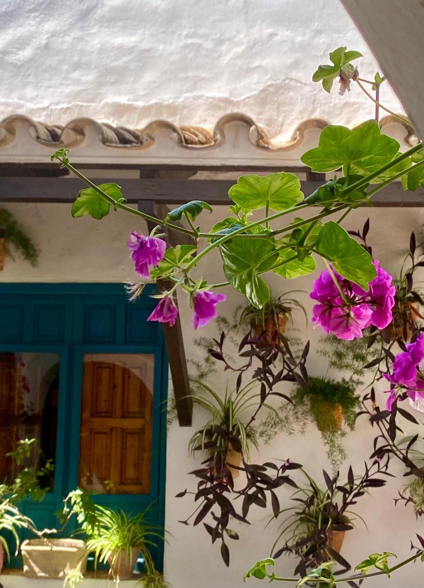 La Buganvilla De Santiago قرطبة المظهر الخارجي الصورة