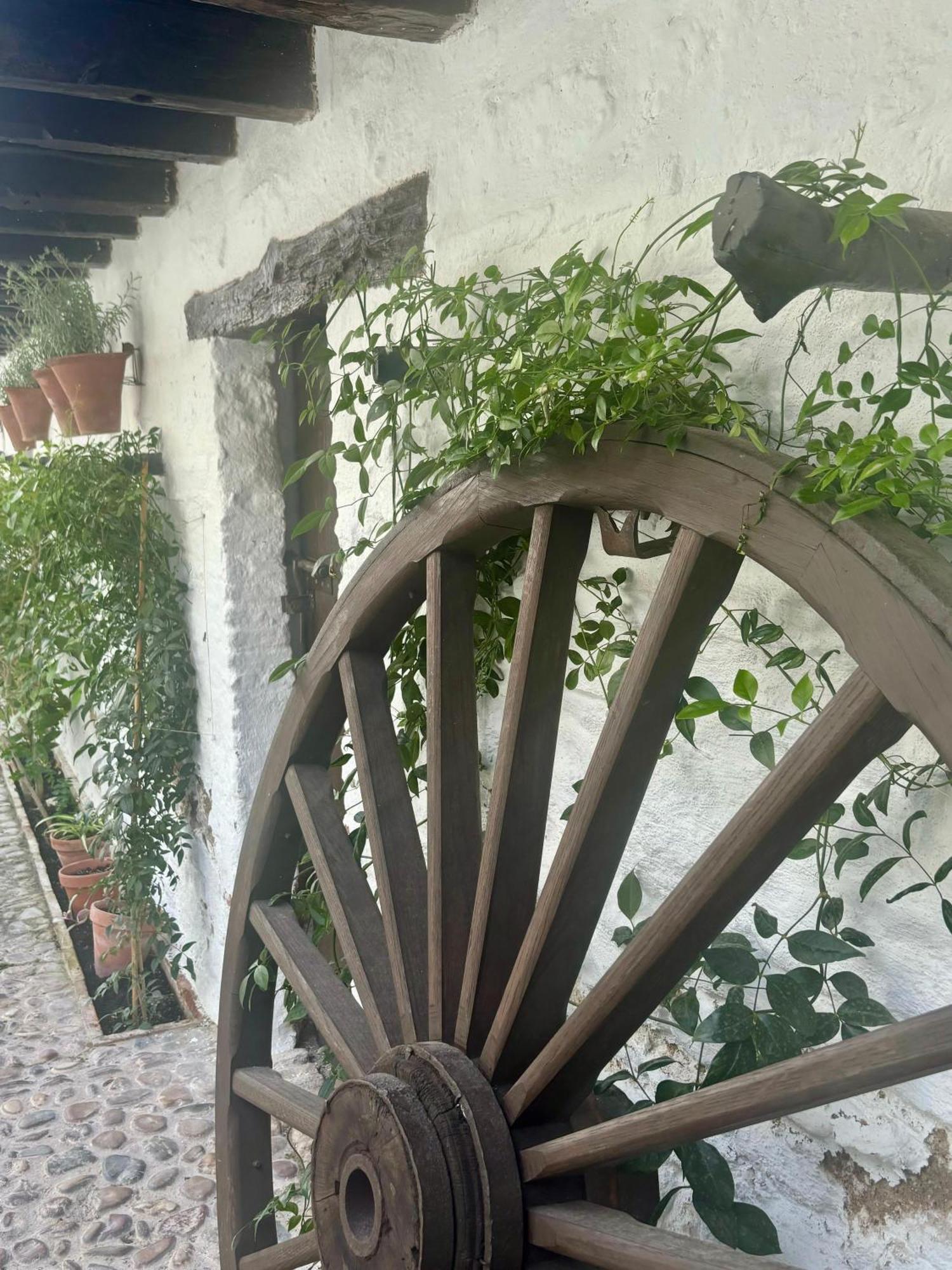 La Buganvilla De Santiago قرطبة المظهر الخارجي الصورة