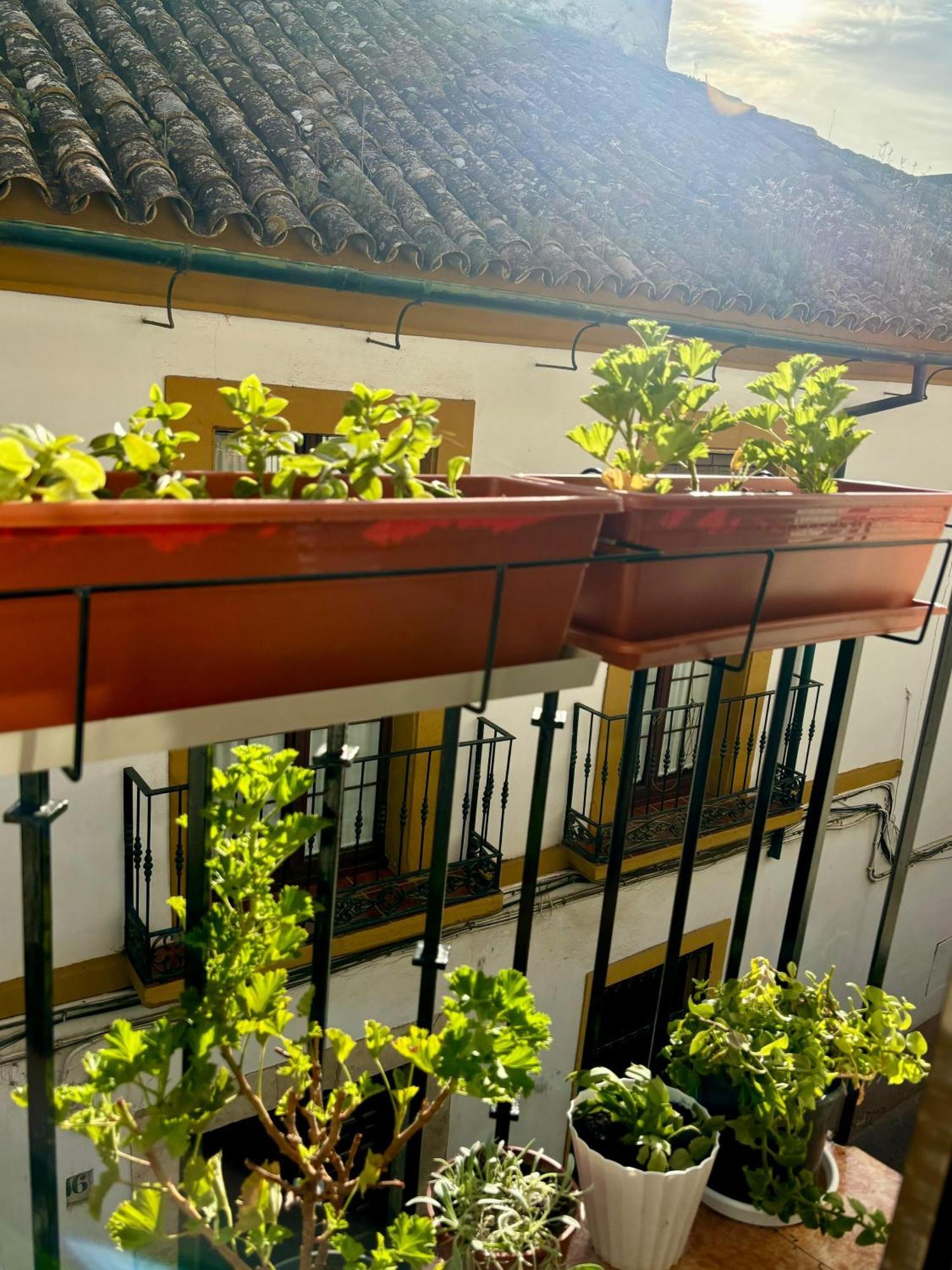 La Buganvilla De Santiago قرطبة المظهر الخارجي الصورة